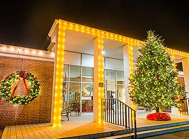 Businesses lights from Shine Select Businesses lights from Shine Select