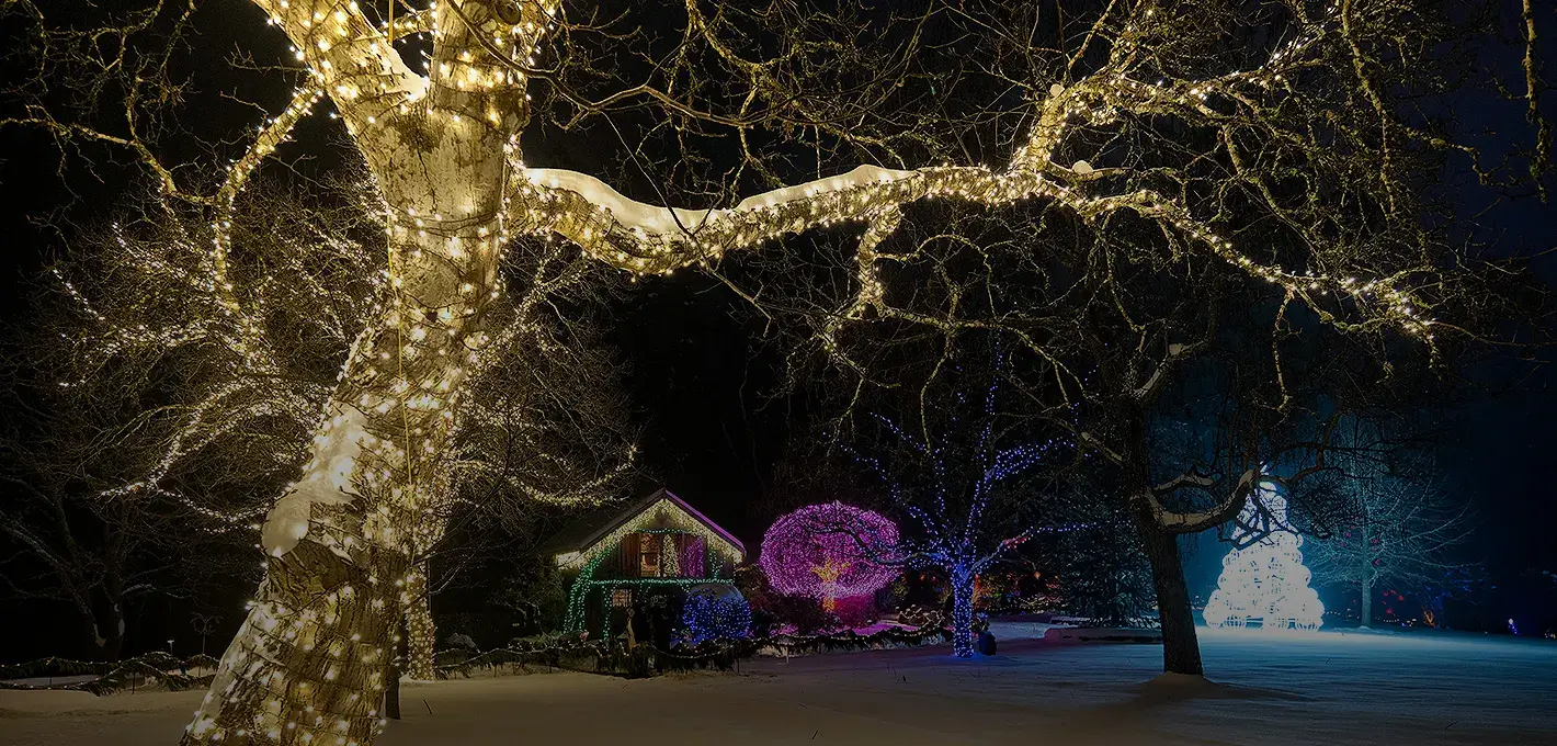 Let your home shine bright with Shine Select